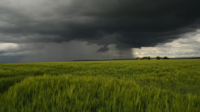 Nachdem die Sonne kurz schien, verwandelte sie das grüne Getreidefeld in Hüttendorf zusammen mit den dunklen Regenwolken in eine schöne kontrastreichen Szene.
