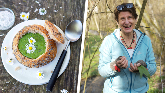 Gesund, lecker, gratis: Diese Wildkräuter können Sie jetzt in der Hersbrucker Schweiz sammeln