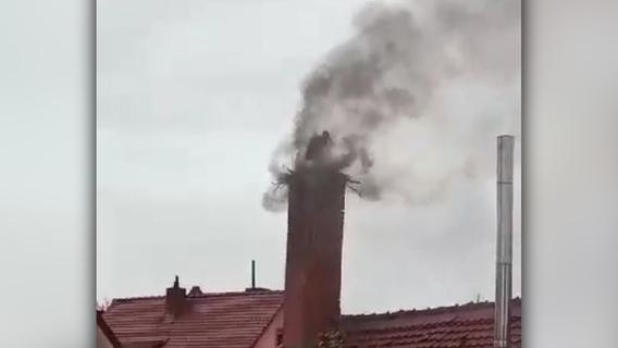 Höchstadt: Storch steht in schwarzer Rauschschwade im Nest - weil hier Schnaps gebrannt wird