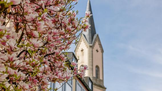 Der Frühling ist da: So wunderschön blüht die Fränkische Schweiz