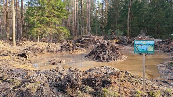 Feuchtbiotop im Wald: Wie ein Tümpel südlich von Schwabach gegen den Klimawandel helfen soll