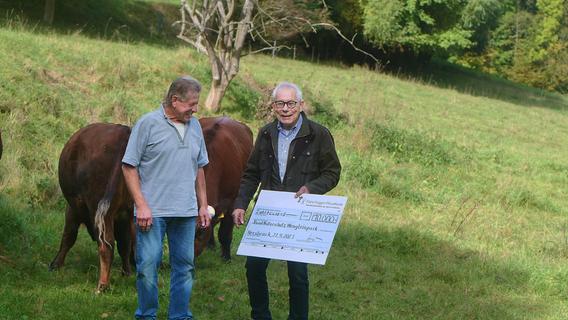 Für Kuh und Co.: 10.000 Euro für Hutangerprojekt des Wengleinparks