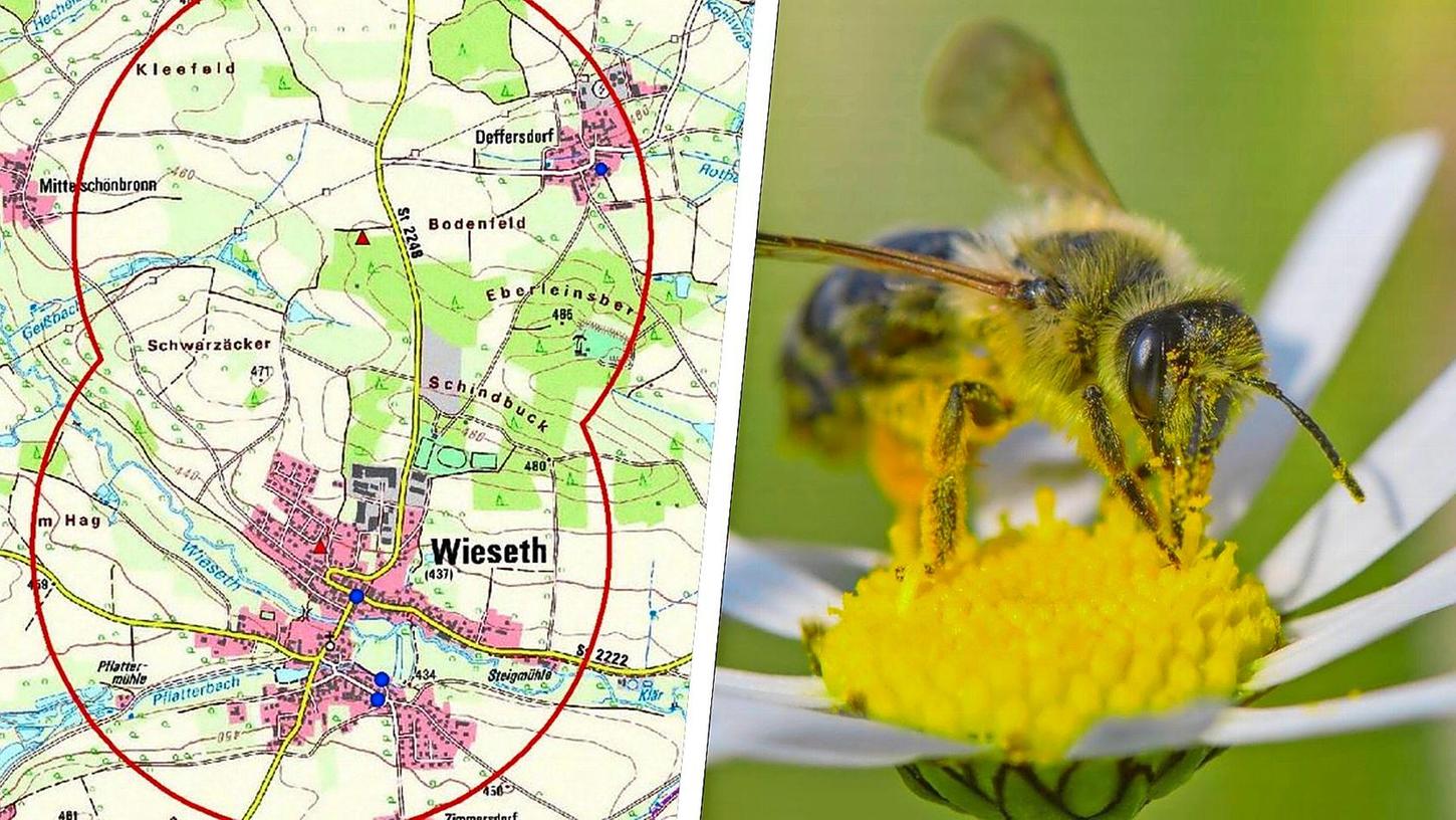 Im Kreis Ansbach ist bei zwei Bienenvölkern die Amerikanische Faulbrut nachgewiesen worden. Die Behörden ergreifen drastische Schritte.