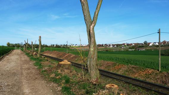 Weiter heftige Kritik wegen des Kahlschlags der Bahn bei Kalchreuth