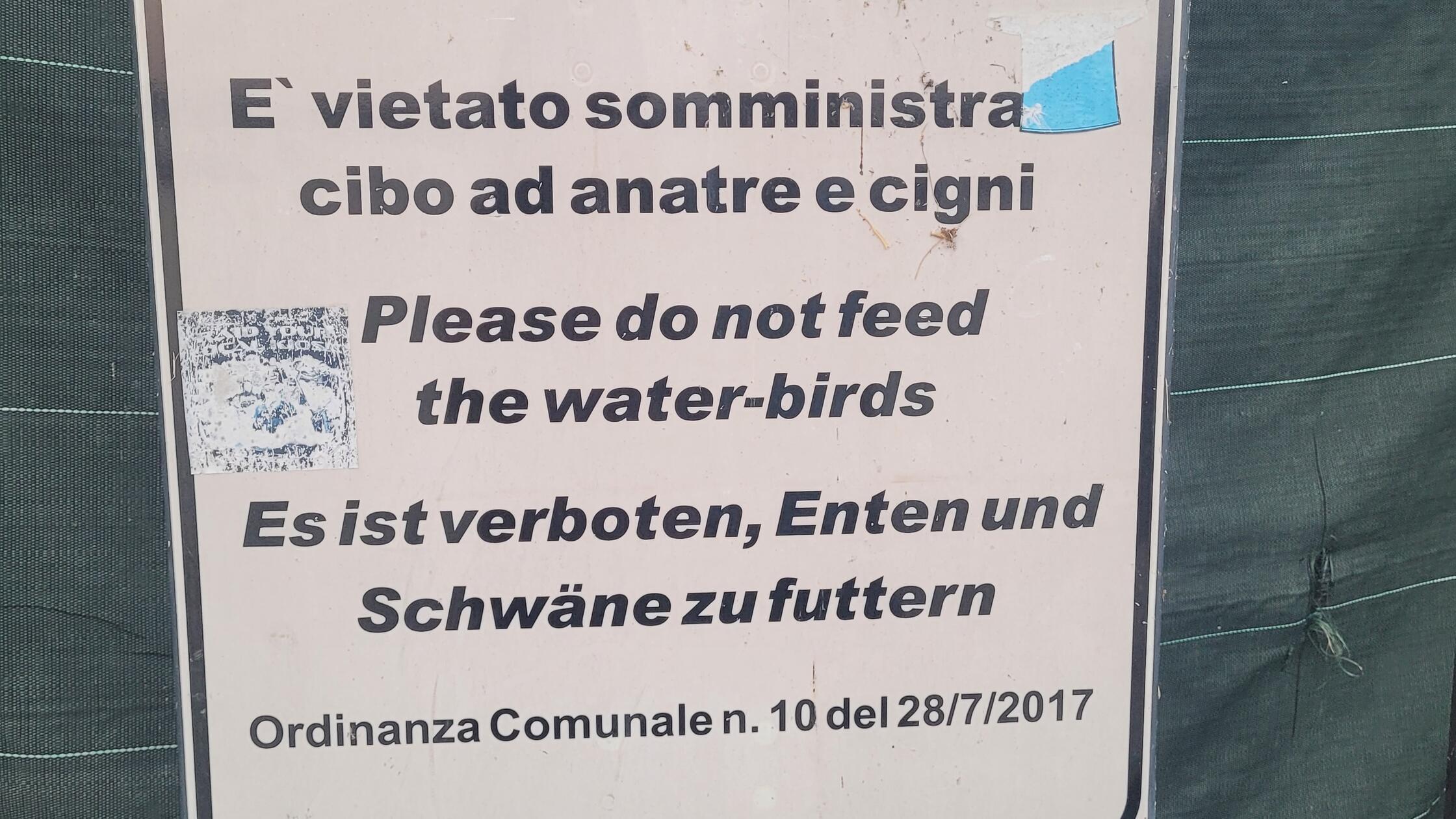 „Anbei unser Reisefoto, aufgenommen am im Juni in San Felice del Benaco am Gardasee, Italien“, schreibt uns Leserin Nadine Bauer per E-Mail.