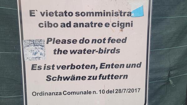 „Anbei unser Reisefoto, aufgenommen am im Juni in San Felice del Benaco am Gardasee, Italien“, schreibt uns Leserin Nadine Bauer per E-Mail.