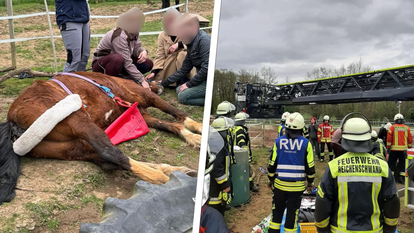 Am Dienstagabend wurden die Kameraden der Feuerwehren Reichenschwand und Hersbruck zur Rettung eines Pferdes gerufen.
