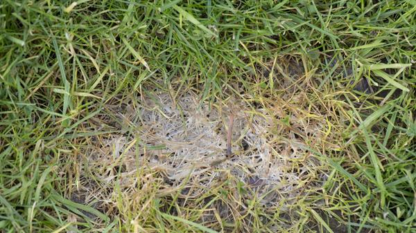 imago images 146092400