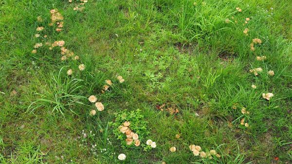 imago images 0372475833