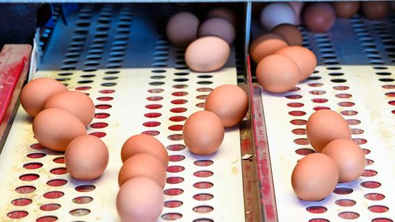 Braune Hühner-Eier könnten bald aus Supermärkten verschwinden – das ist der Grund