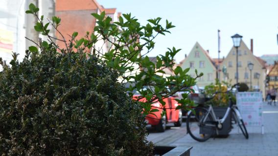 Weißenburg an den Klimawandel anpassen: Grüne wünschen sich Bäume in der Luitpoldstraße