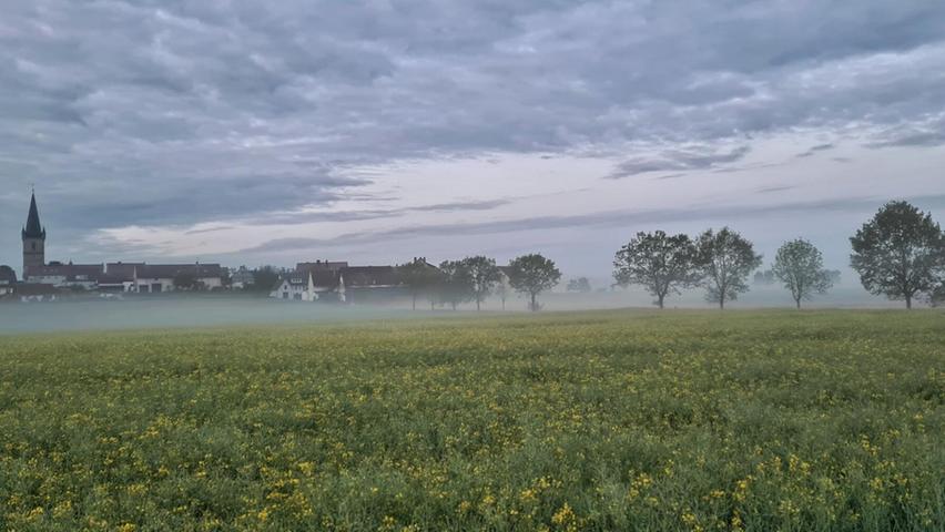 Die Aufnahmen von Barbara Fuchs zeigen das noch etwas verschlafene und durch den Nebel verschleierte Hannberg.
