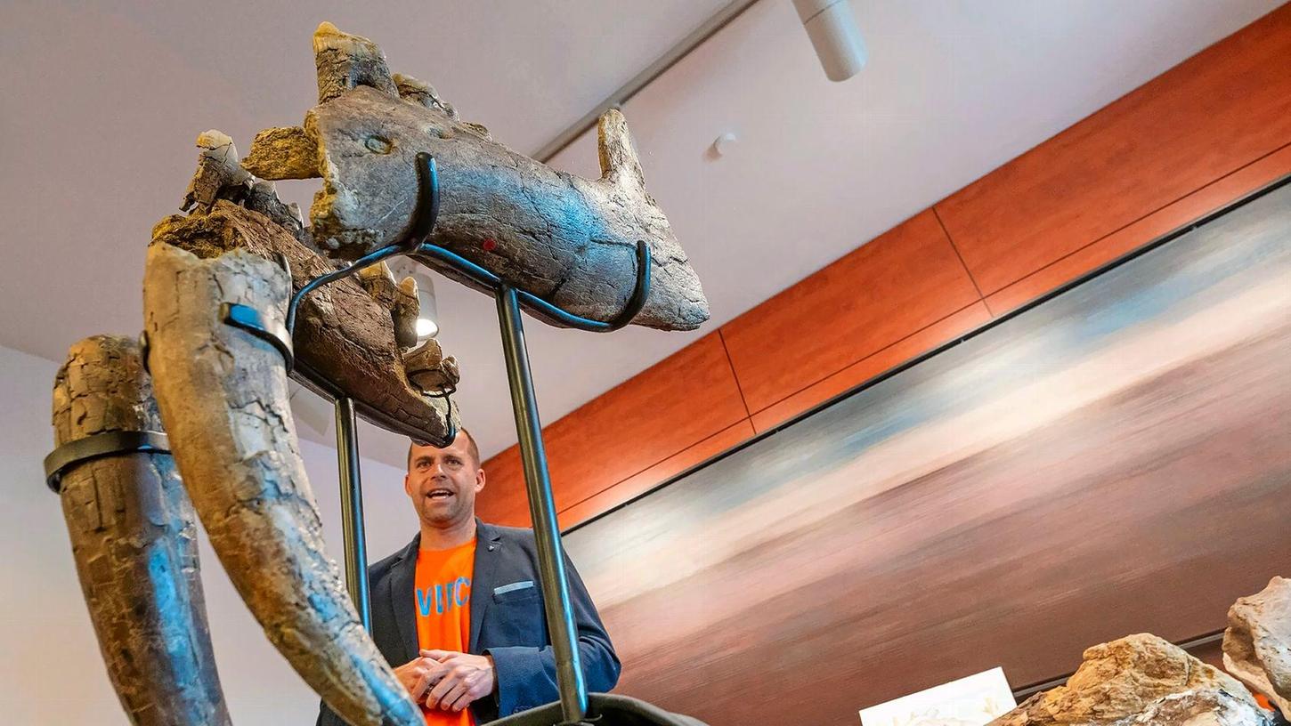 Peter Kapustin, Museumsleiter des Urzeitmuseum, erklärt die Funde eines Urelefanten-Friedhofs.