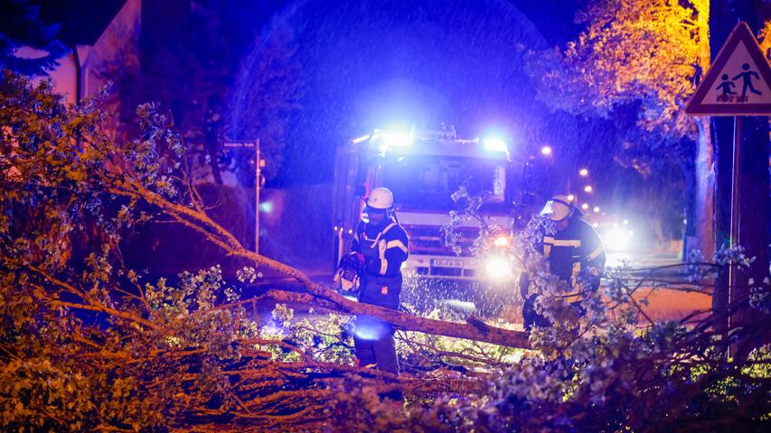 In Erlangen konnte ein Baum den starken Windböen nicht standhalten und fiel um. Die Feuerwehr musste mit einer Kettensäge die Straße vom Baum befreien.
