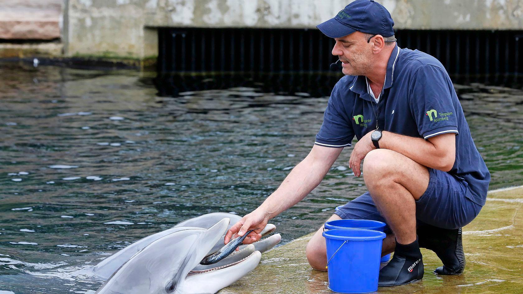 a-nnz-ha-20150505_154830-3