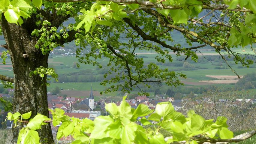 Frühling überall, am Berg und im Tal, mit Blick auf Kirchehrenbach.
