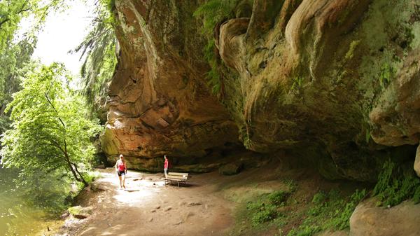 Weniger als 15 Minuten S-Bahnfahrt sind es von Nürnberg zum Bahnhof Ochenbruck. Von dort aus wiederum sind es nur einige hundert Meter durch den Ort bis zum Schwarzachgrund. Flussabwärts in Richtung Wendelstein wird es schnell wildromantisch, später kreuzt der Alte Kanal. Wer nach der Schwarzachklamm nicht zurück nach Ochenbruck umkehren will, kann beispielsweise via Jägersee nach Feucht weiterlaufen. Dort hält ebenfalls die S-Bahn. Weitere Informationen gibt es beim VGN.