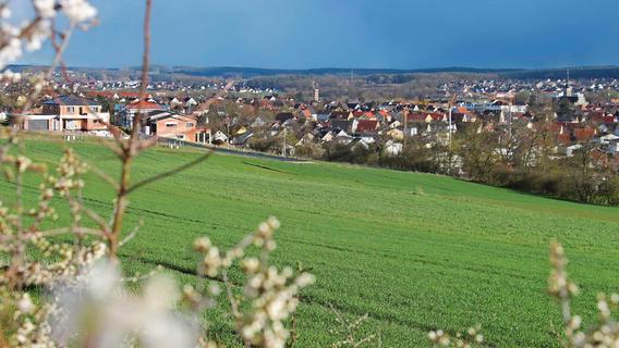 Bund Naturschutz zeigt Stadt Höchstadt an - es geht um den Häckersteig