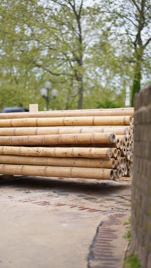 Sie gelten auf dem Stadtstrand als eine der wichtigsten Bau- und Dekoelemente: Bambusrohre - und davon gilt es nun, zahlreiche zuzuschneiden.