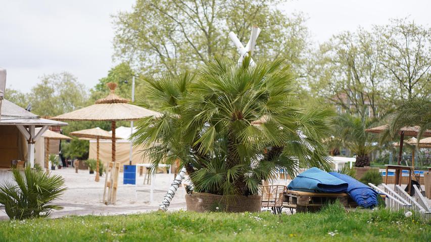 Die ersten Schirme und Palmkübel stehen bereits - und der Countdown läuft: Am 26. April wird auf der Insel Schütt die Strandsaison 2024 eingeläutet, dann nämlich startet der Nürnberger "Lieblingsstrand", der den meisten als Stadtstrand bekannt ist . 