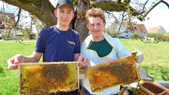 Von Honigmachen bis Schwarmfang: „Die Bienenkumpels“ aus Schwabach bringen die Imkerei auf YouTube