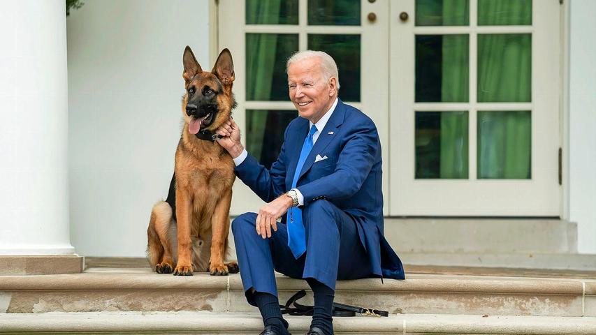 US-Präsident Joe Biden mit seinem Hund auf den Stufen vor dem Weißen Haus.
