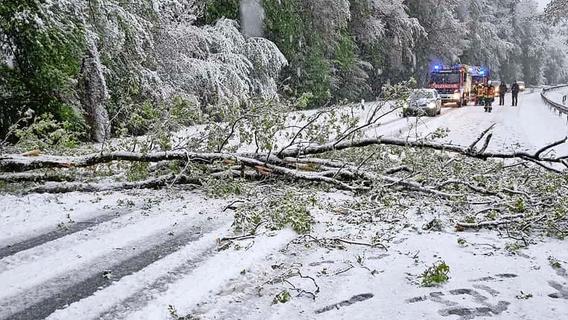 Zahlreiche Bäume unter Schneelast umgestürzt: 18 Feuerwehren in Fränkischer Schweiz im Einsatz