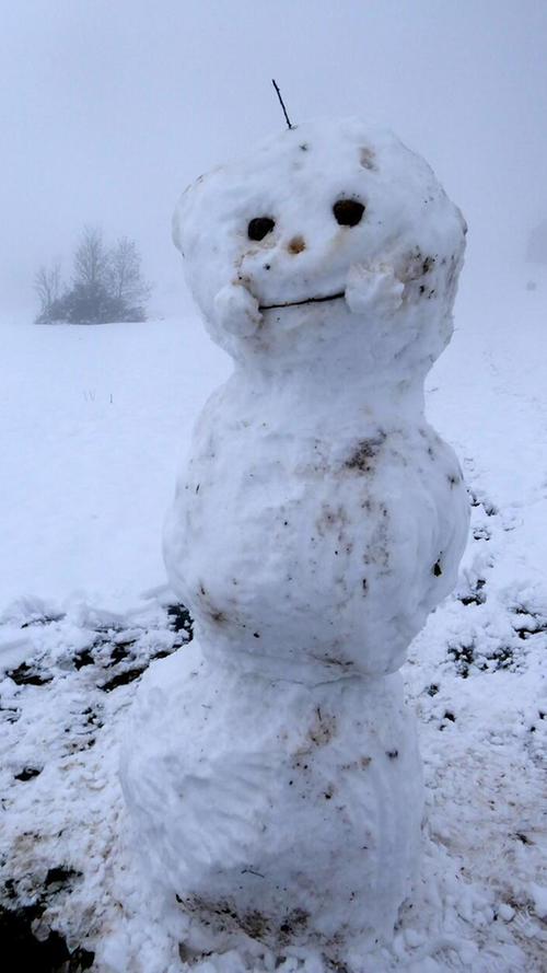 Ein freundlicher Schneemann der dem Wanderer den Tag verschönert.