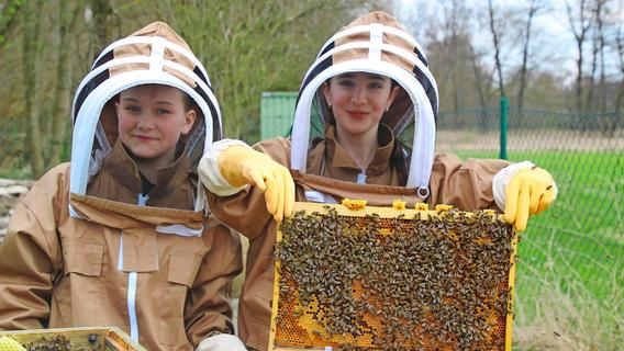Sie haben keine Angst vor Bienen: Hersbrucker PPG bildet nun auch Schulimker aus