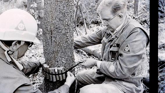 Vor 30 Jahren: Als in einem Waldstück bei Pretzfeld Bäume in die Luft gejagt wurden