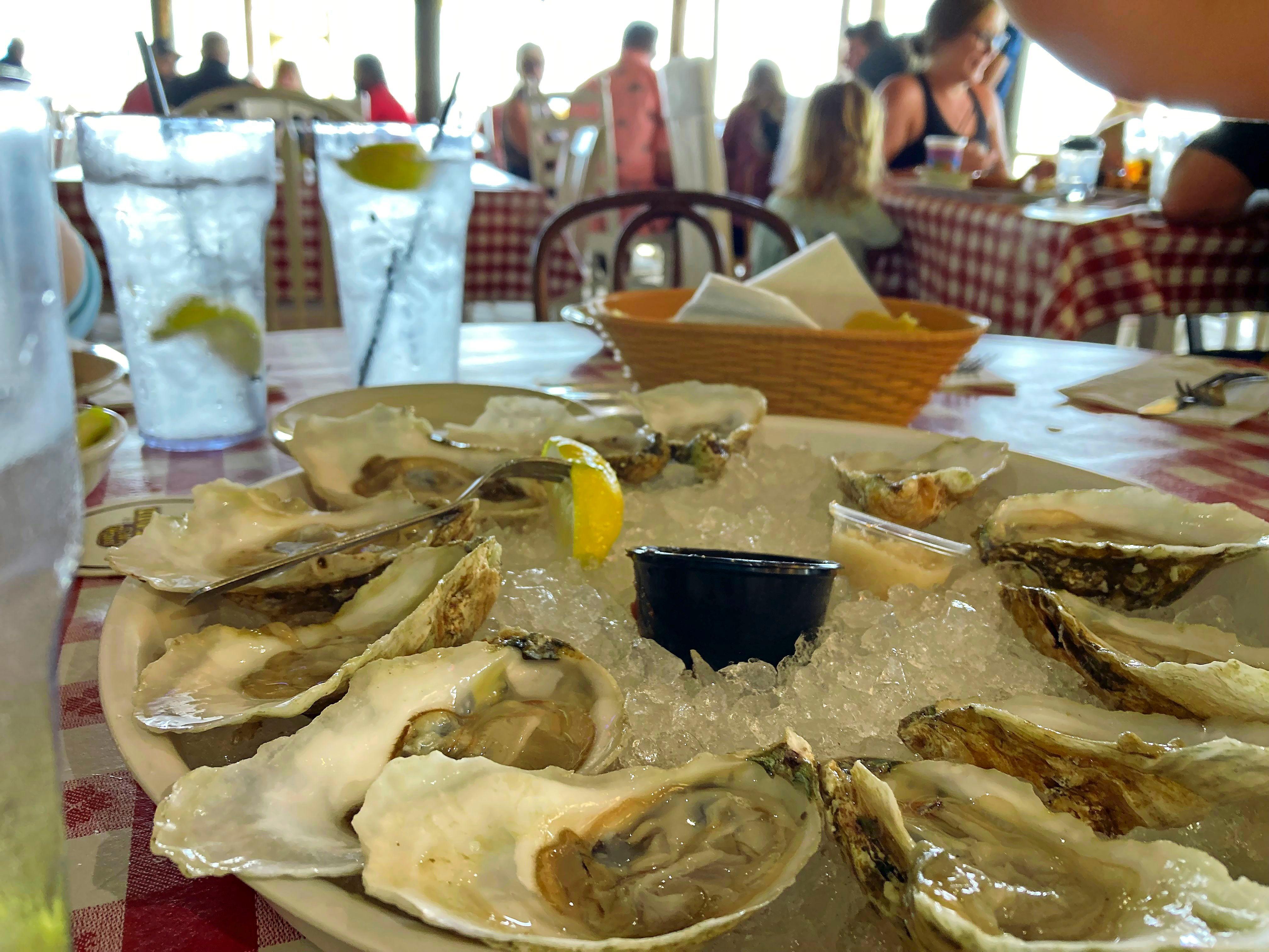 Auch in den Restaurants liegen die Preise um ein gutes Drittel über dem, was man in Deutschland zahlt. Viele sind ihr Geld aber wirklich wert - wie Conchy Joe's Seafood. Wenn Gäste selbst geangelten Fisch mitbringen, bereiten die Köche selbst den zu.