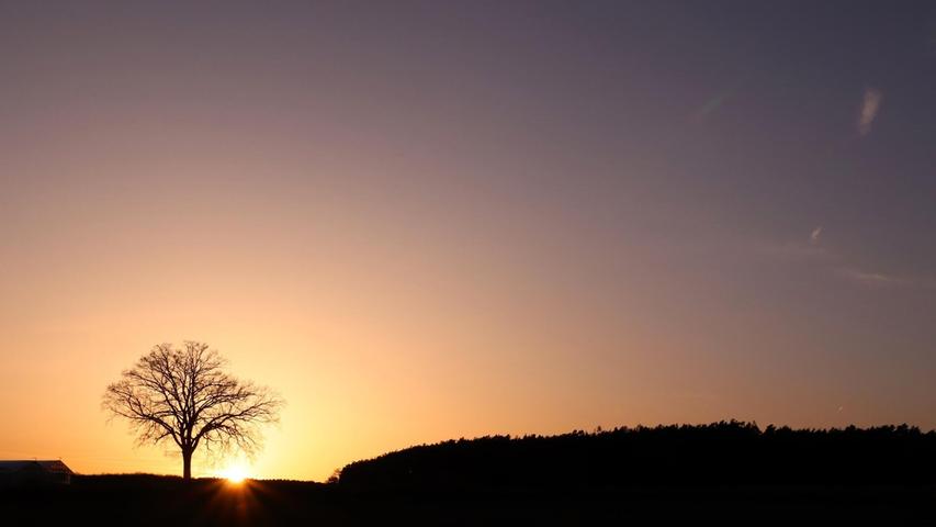 Wie ein Scherenschnitt sieht dieser Baum vor dem Hintergrund eines zauberhaften Sonnenuntergangs aus.