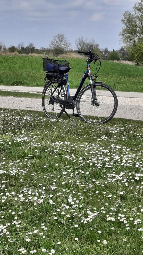 Der Frühling lockt die Besucher zu einer Radtour um den Altmühlsee.