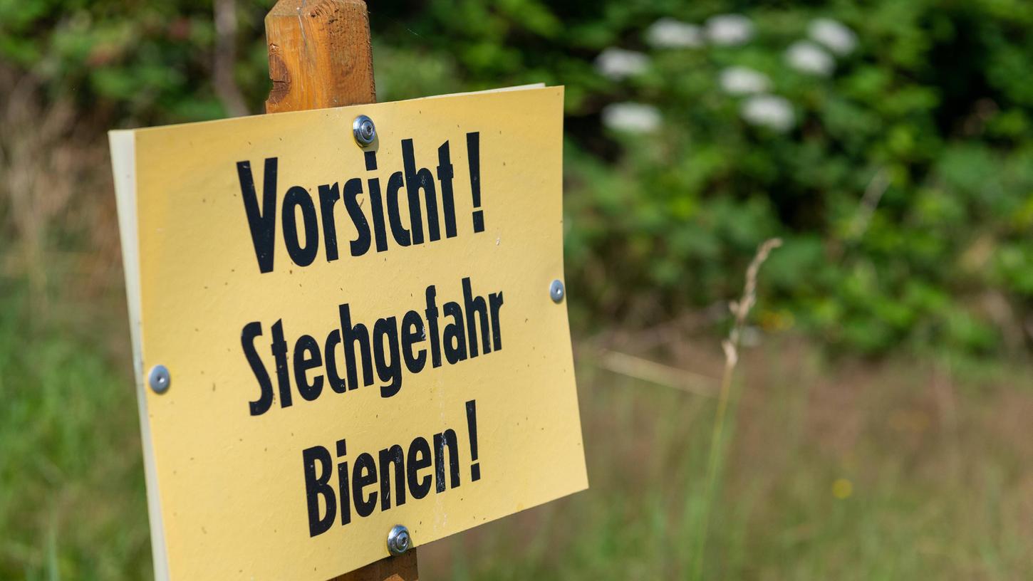 Bienenstiche können bei einer schlimmen Allergie einen anaphylaktischen Schock auslösen.