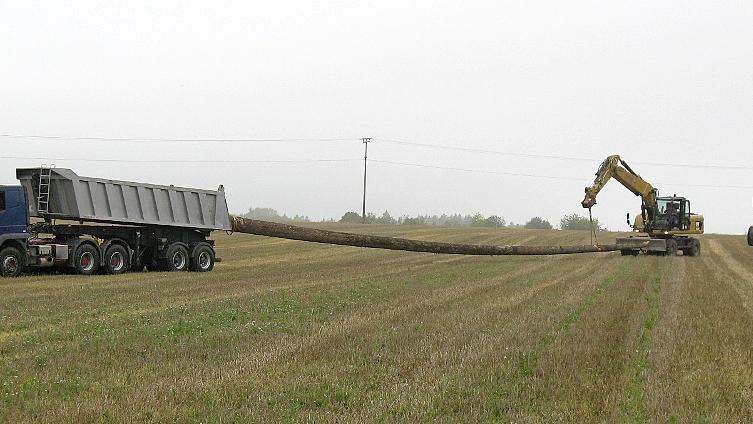 Längste Holzbank Deutschlands in Arbeit