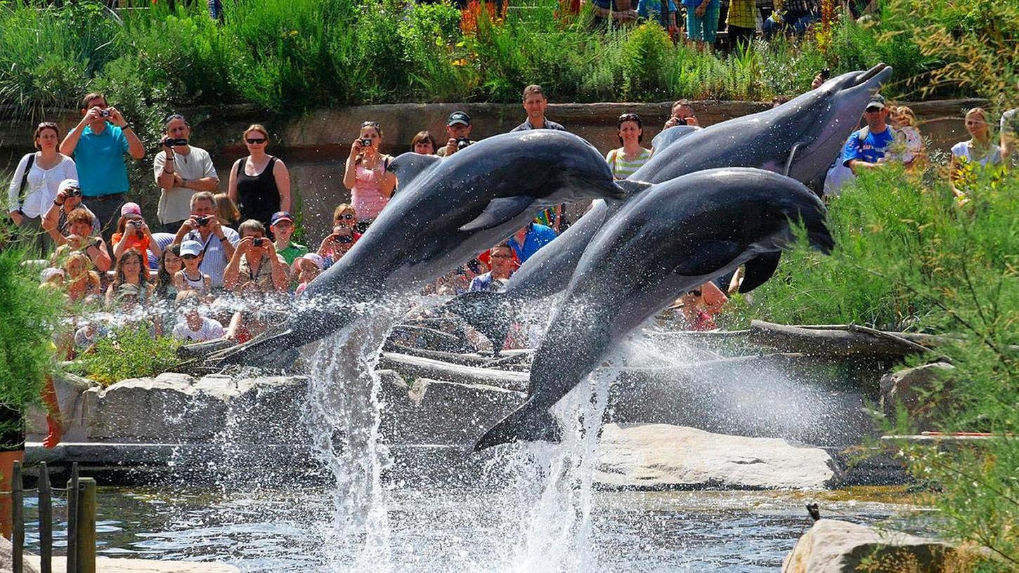 Die Delfinlagune im Nürnberger Tiergarten