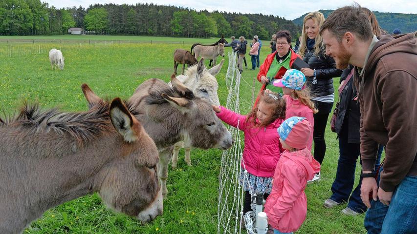 Am Neumarkter Volksfestplatz steigt am 1. Mai ein tierisch gutes Fest für die ganze Familie