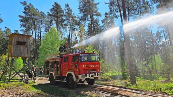 Flammende Fichte 2024