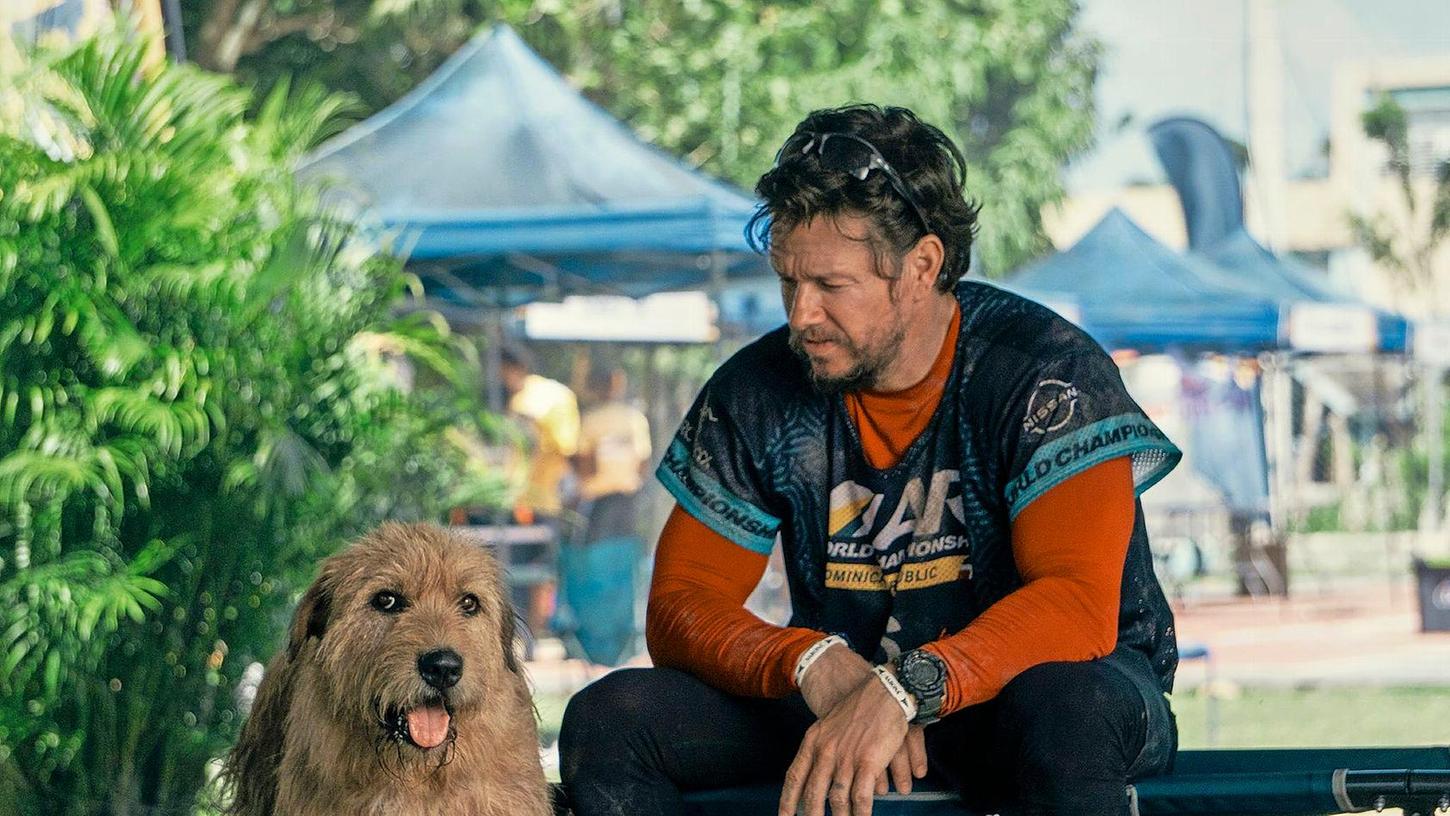 Mark Wahlberg als Michael in einer Szene des Films "Arthur der Große". Der Schauspieler setzt sich für die Adoption von Haustieren ein.