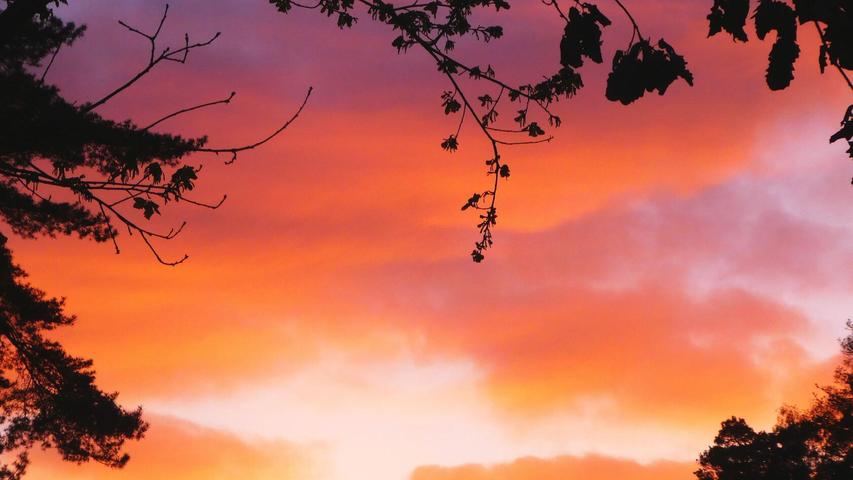 Unsere Leserin Renate Blaudszun schickte dieses schöne Abendrot-Foto. Das Stichwort "Abendrot schön Wetter-Bot'" hat sich bewahrheitet. Tatsächlich ist das schöne Wetter am nächsten Tag eingetroffen.