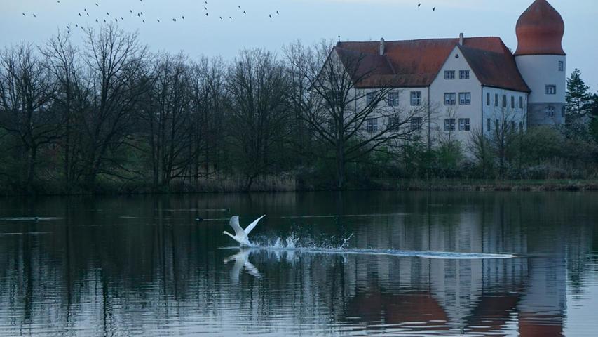 Barbara Fuchs aus Röttenbach hat ein wunderschönes Bild vom Wasserschloss in Neuhaus mit uns geteilt, aufgenommen wurde es in den Morgenstunden.