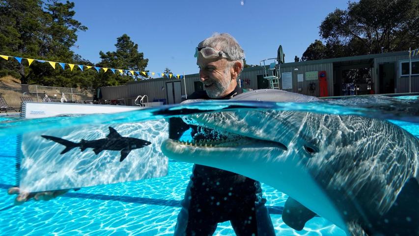 Roger Holzberg und der Roboter-Delfin.