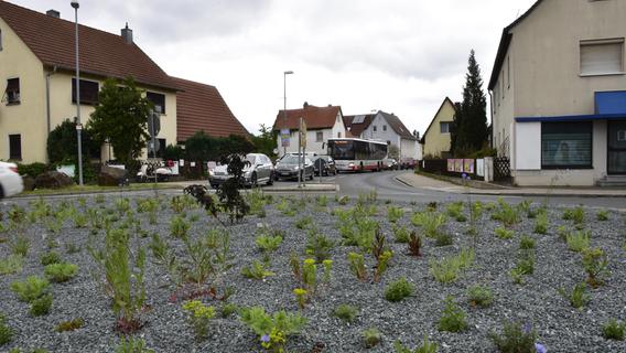 Steingarten-Optik: Die neugestalteten Kreisverkehre in Diepersdorf ernten Kritik