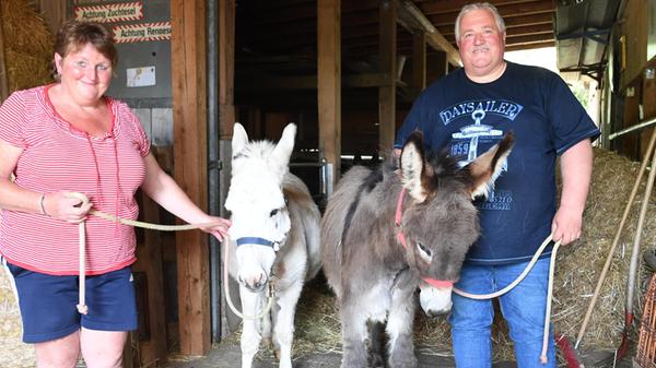 29042029 Staufer Bergesel (5)