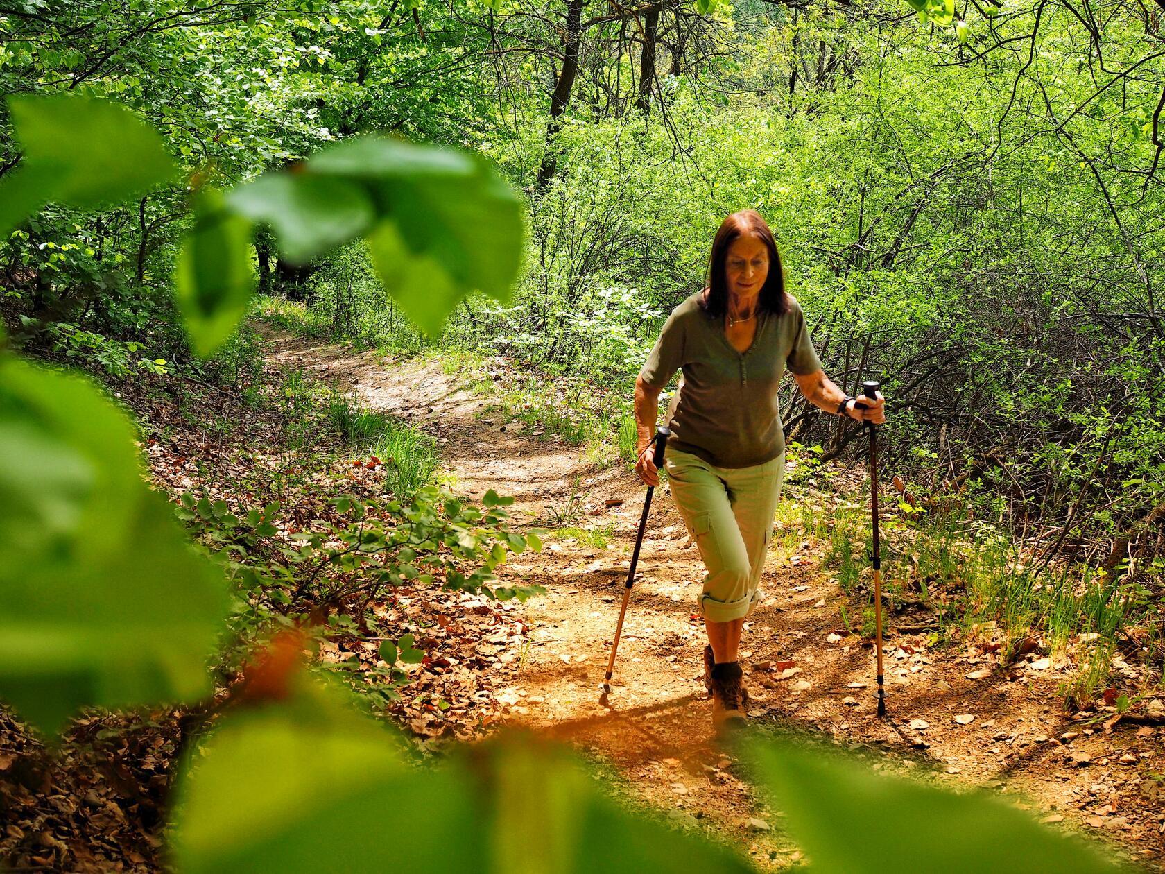 Wanderung durch hellgrünen Laubwald auf dem Thiesenring bei Bad Berneck.