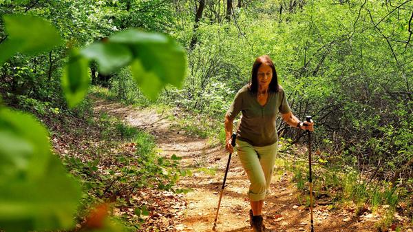 Wanderung durch hellgrünen Laubwald auf dem Thiesenring bei Bad Berneck.
