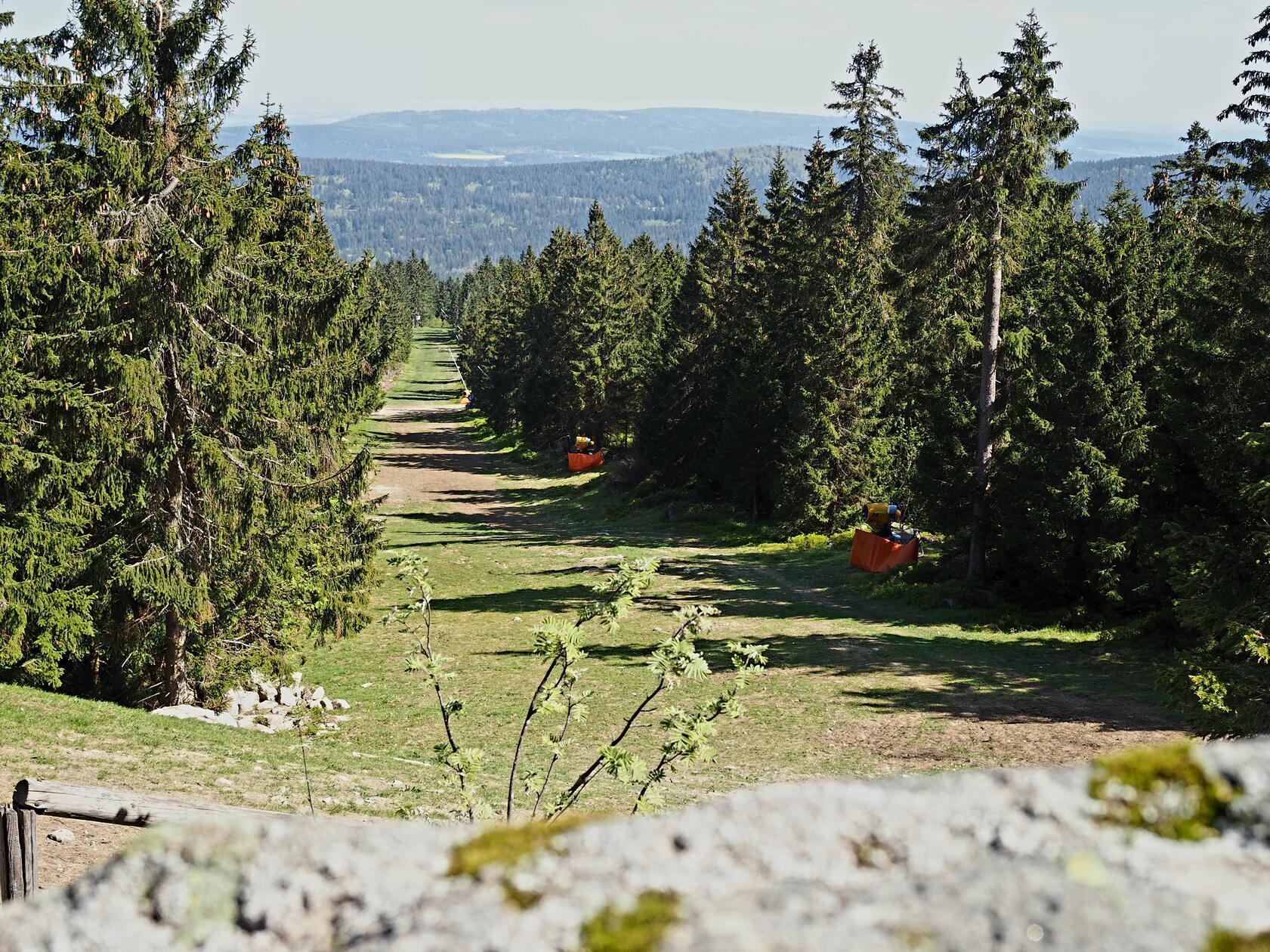 Die Nordpiste vom Ochsenkopf im Sommer.