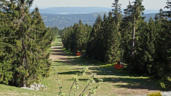 Die Nordpiste vom Ochsenkopf im Sommer.