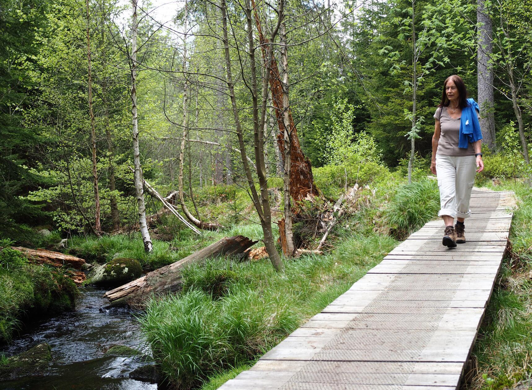 Wer den jungen Main kurz nach der Quelle von Karches nach Bischofsgrün entlangläuft, läuft lange Passagen auch über Stege durchs an dieser Stelle winzige Maintal.
