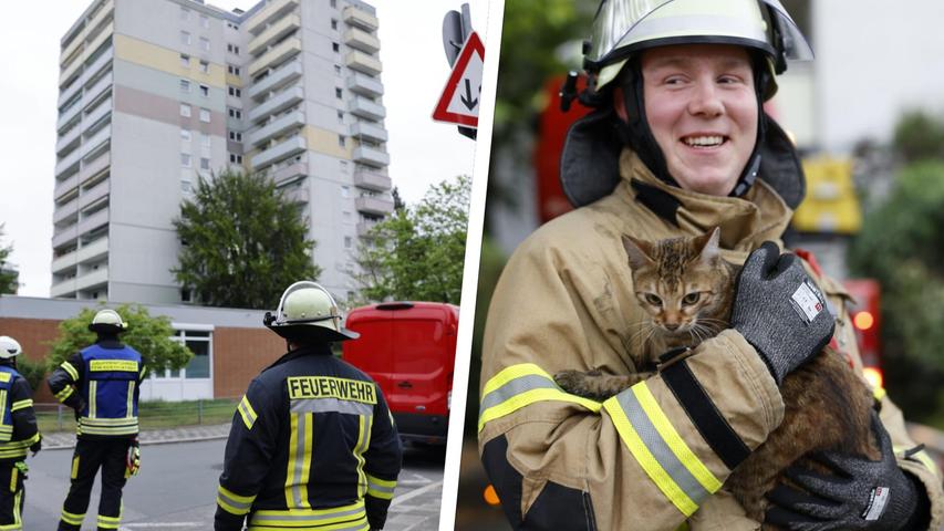 Brand in Fürther Hochhaus sorgt für Großeinsatz: Feuerwehr rettet Katze